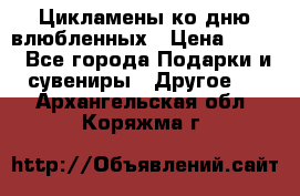 Цикламены ко дню влюбленных › Цена ­ 180 - Все города Подарки и сувениры » Другое   . Архангельская обл.,Коряжма г.